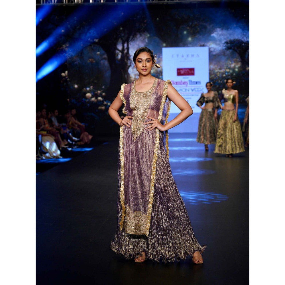 Etasha by Asha Jain Purple Mesh Palazzo with Bustier and Cape (Set of 3)