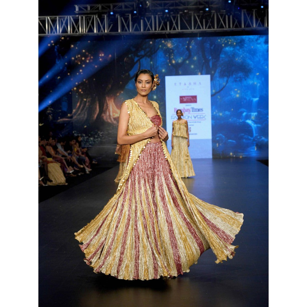 Etasha by Asha Jain Multi-Colour Bustier with Palazzo and Cape (Set of 3)