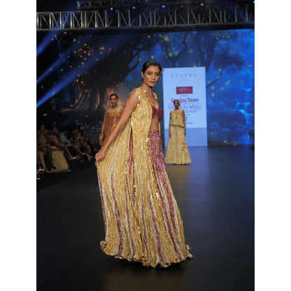 Etasha by Asha Jain Multi-Colour Bustier with Palazzo and Cape (Set of 3)