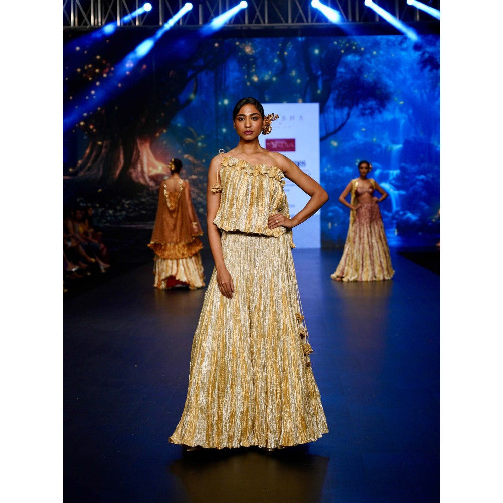 Etasha by Asha Jain Gold Top with Palazzo (Set of 2)