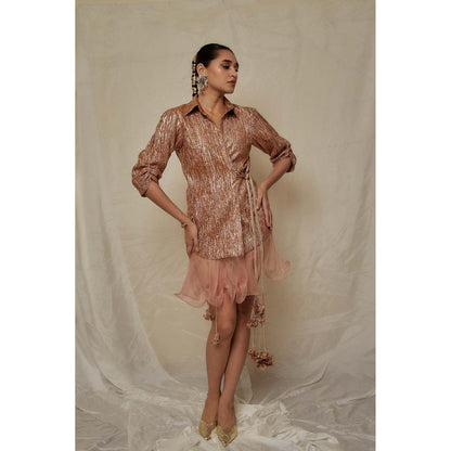 Etasha by Asha Jain Beige Metallic Mini Dress