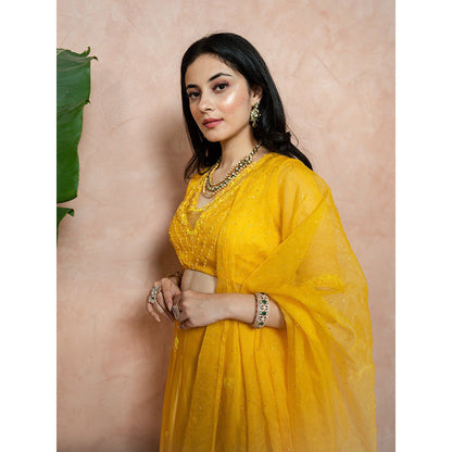 ewaz Satin Georgette Lehenga (Yellow)