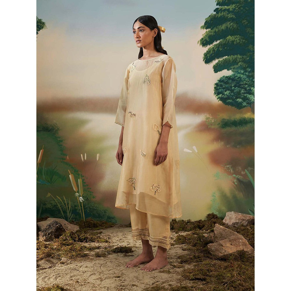 FEBo6 Primrose Yellow Kurta with Slip (Set of 2)