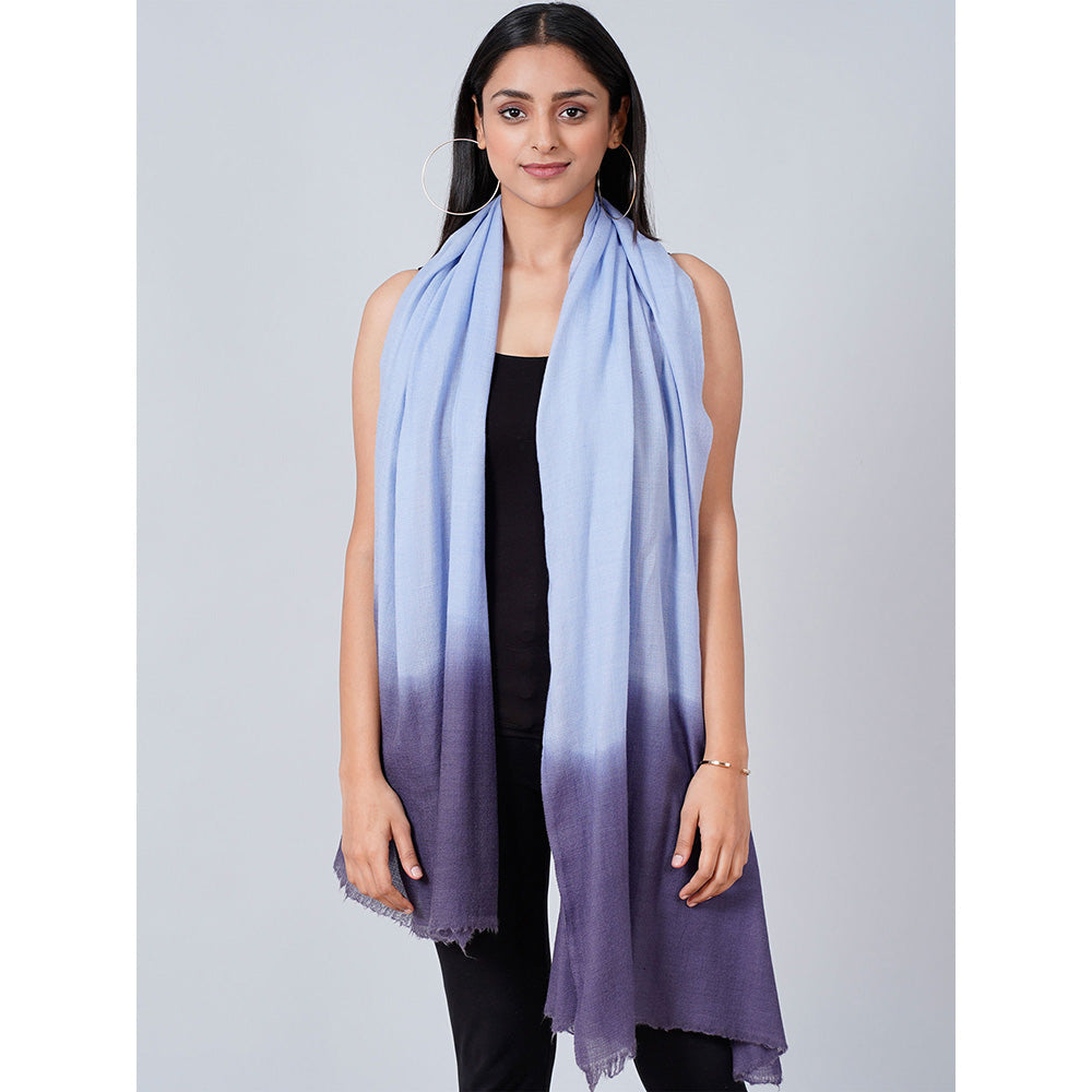 First Resort by Ramola Bachchan Sky Blue And Dark Blue Colour Block Scarf