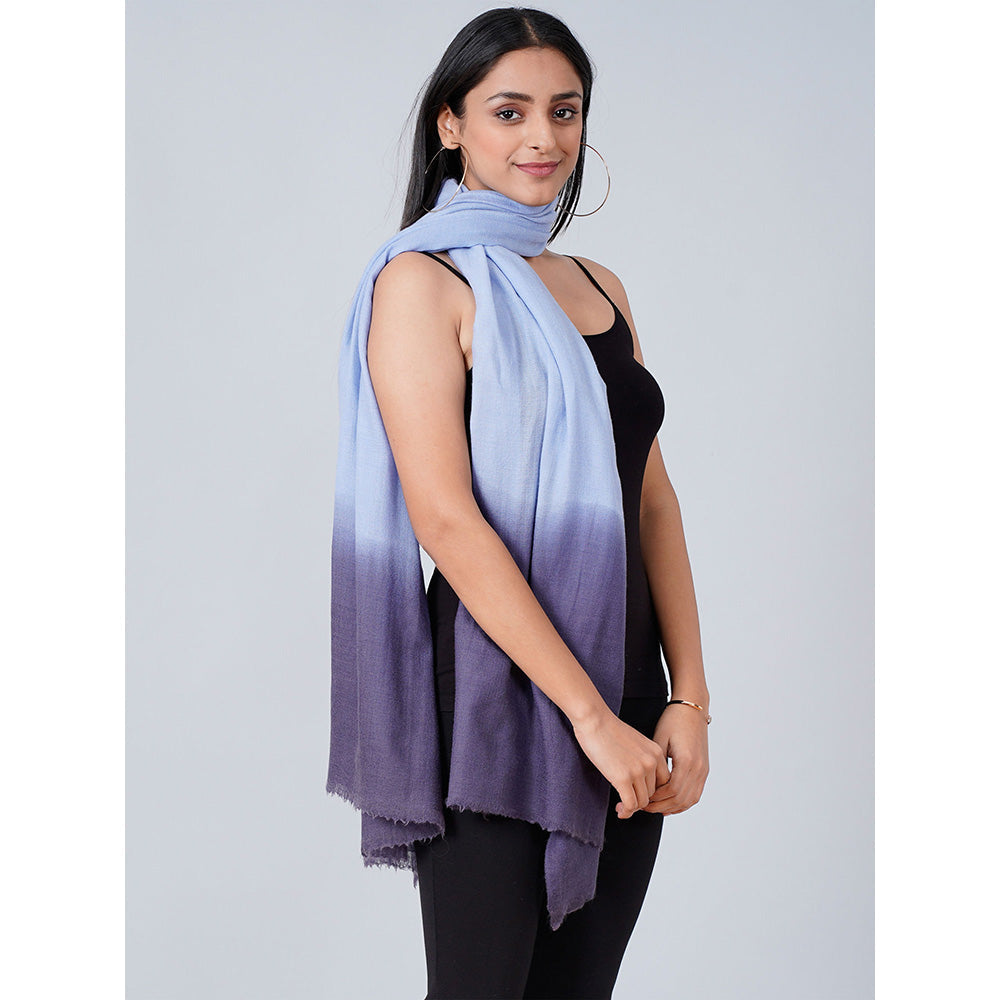 First Resort by Ramola Bachchan Sky Blue And Dark Blue Colour Block Scarf