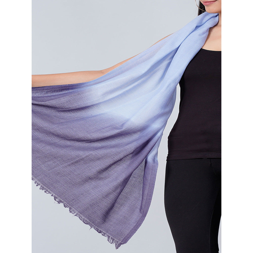 First Resort by Ramola Bachchan Sky Blue And Dark Blue Colour Block Scarf