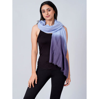 First Resort by Ramola Bachchan Sky Blue And Dark Blue Colour Block Scarf
