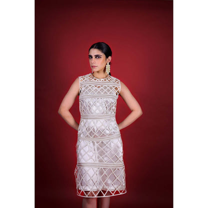 Firki by Sweta White Pearl Radiance Dress with Top