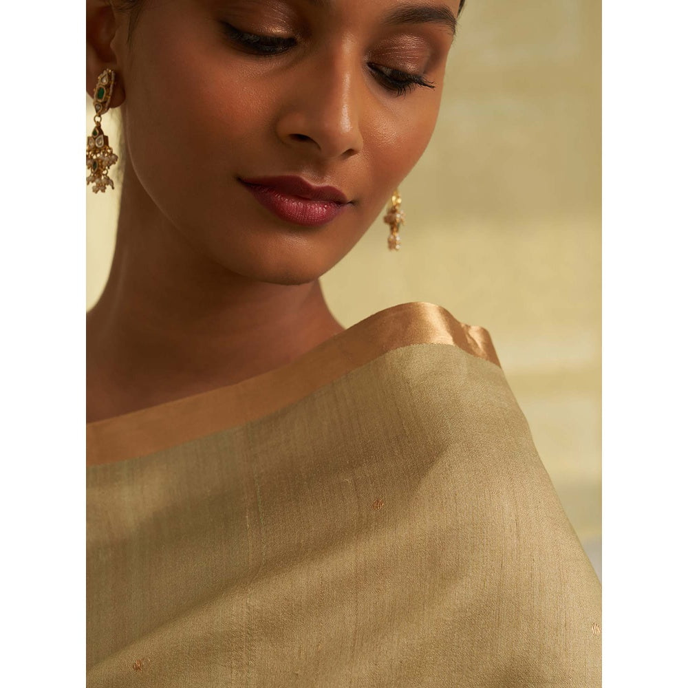 Five Point Five Sage Green Amoha Saree with Unstitched Blouse