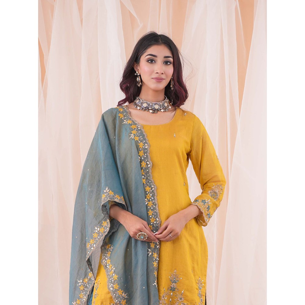 Farha Syed Multi Colour Kurta And Skirt (Set of 3)