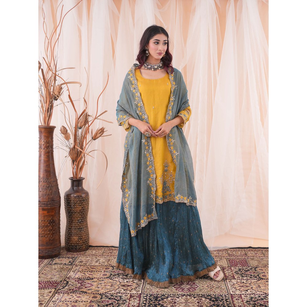 Farha Syed Multi Colour Kurta And Skirt (Set of 3)