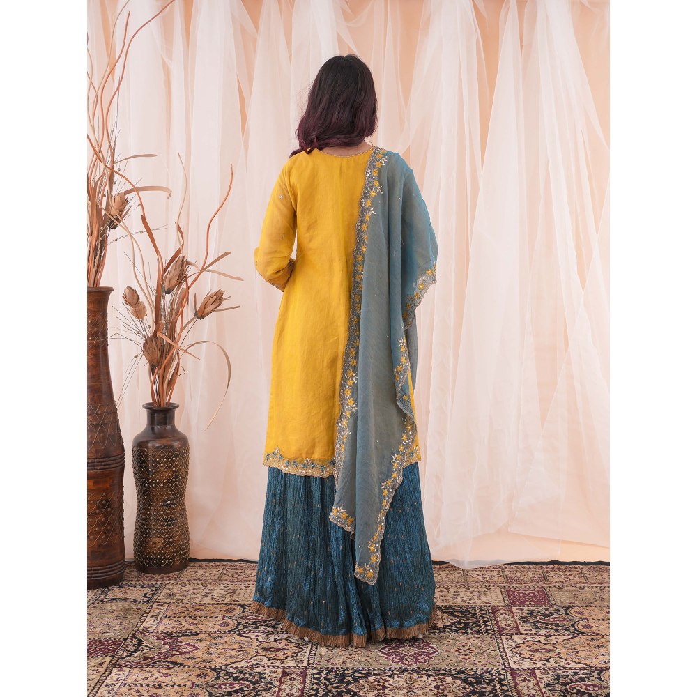 Farha Syed Multi Colour Kurta And Skirt (Set of 3)