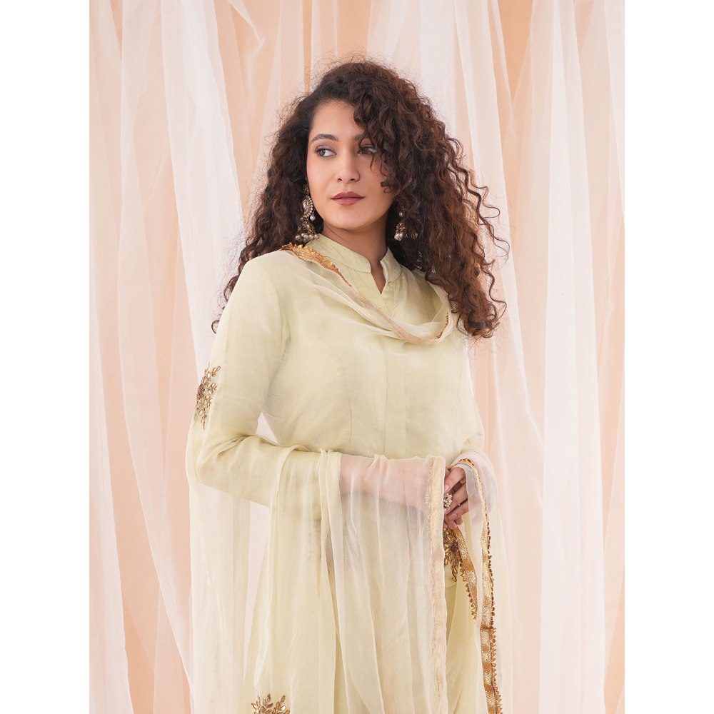 Farha Syed Beige Flared Kurta (Set of 3)