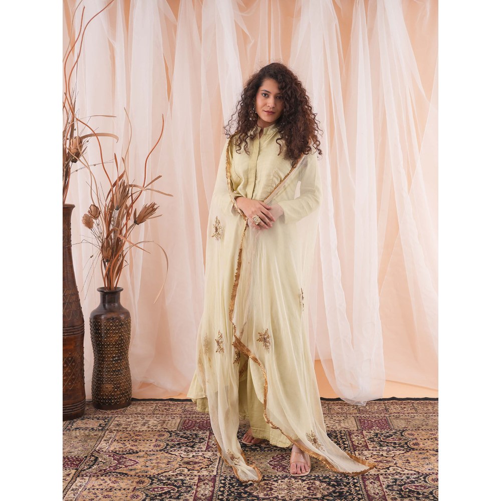 Farha Syed Beige Flared Kurta (Set of 3)