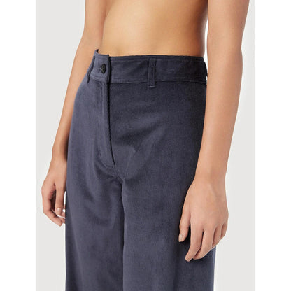 Genes Lecoanet Hemant Women Mid Rise Self Pattern Pant