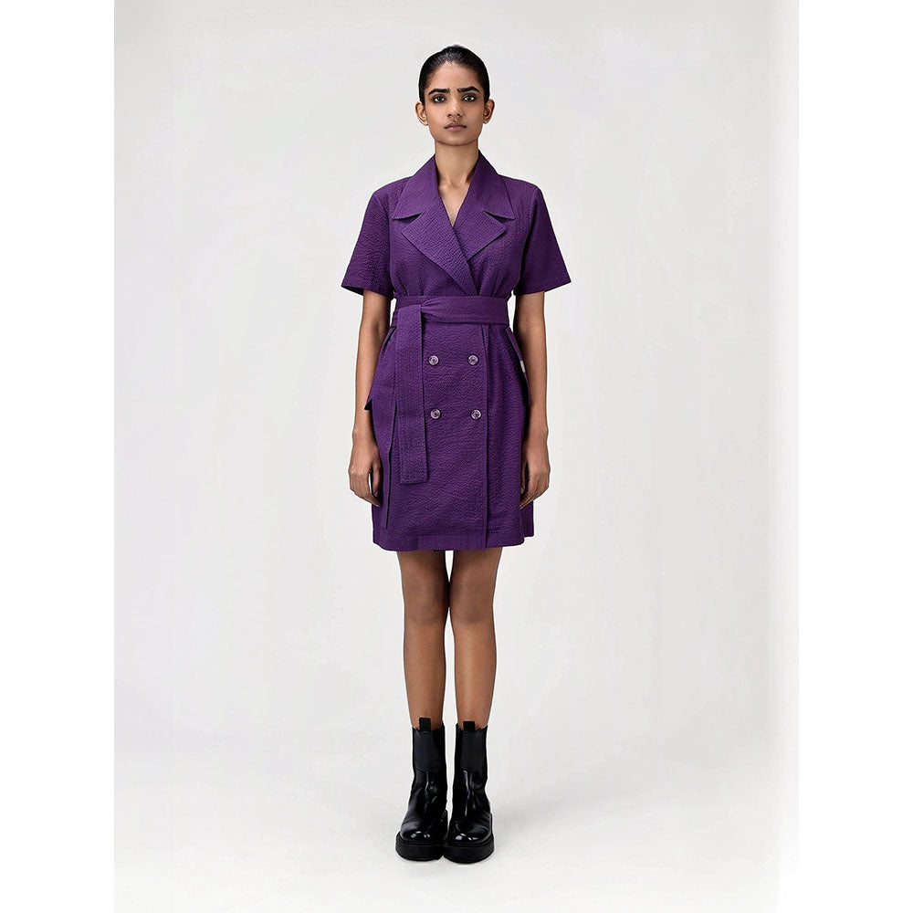Genes Lecoanet Hemant Women's Purple Solid Knee Length Dress with Belt (Set of 2)