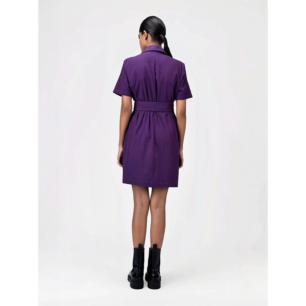 Genes Lecoanet Hemant Women's Purple Solid Knee Length Dress with Belt (Set of 2)