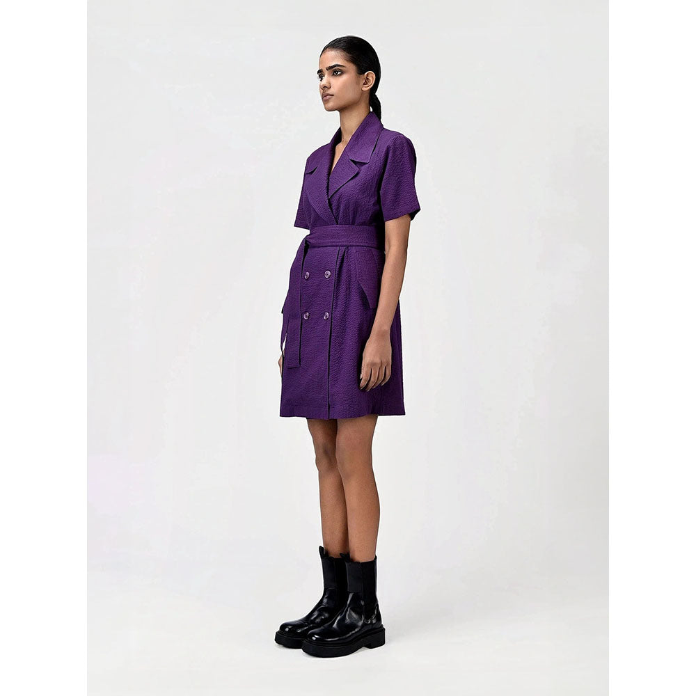 Genes Lecoanet Hemant Women's Purple Solid Knee Length Dress with Belt (Set of 2)