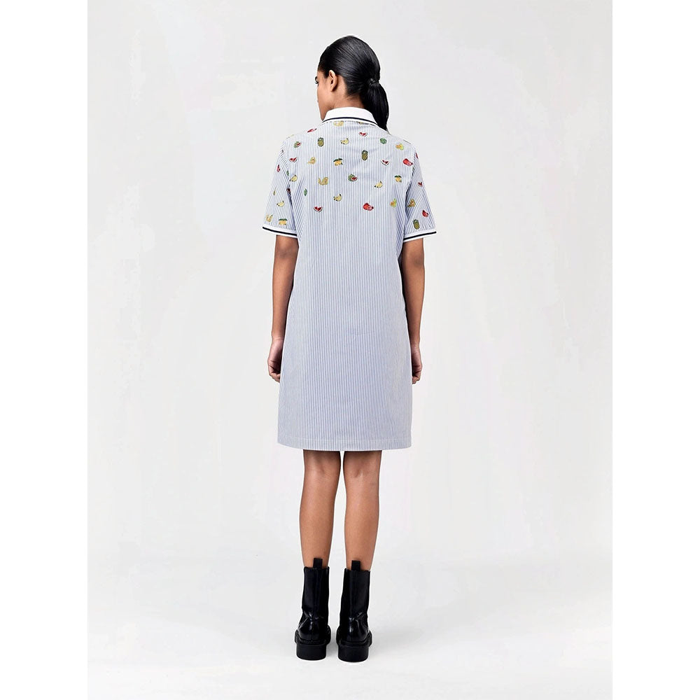 Genes Lecoanet Hemant Women's Blue Stripes Knee Length Dress