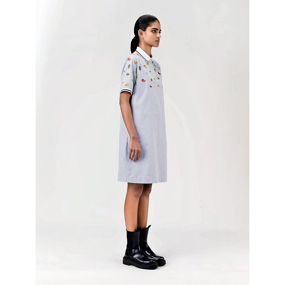 Genes Lecoanet Hemant Women's Blue Stripes Knee Length Dress