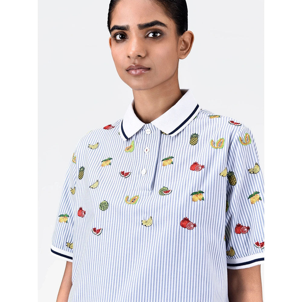 Genes Lecoanet Hemant Women's Blue Stripes Knee Length Dress