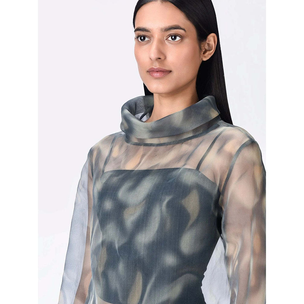 Genes Lecoanet Hemant Women's Organza Turtle Neck Printed Full Sleeves A-Line Top