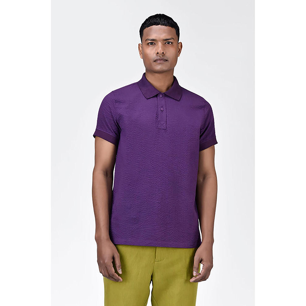Genes Lecoanet Hemant Regular Fit Polo With Dtm Collar-Amethyst