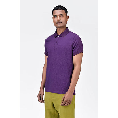 Genes Lecoanet Hemant Regular Fit Polo With Dtm Collar-Amethyst