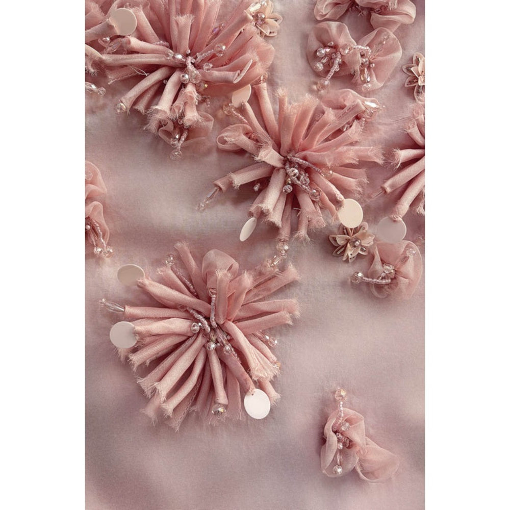 Genes Lecoanet Hemant Rose Pink Embellished A-Line Dress