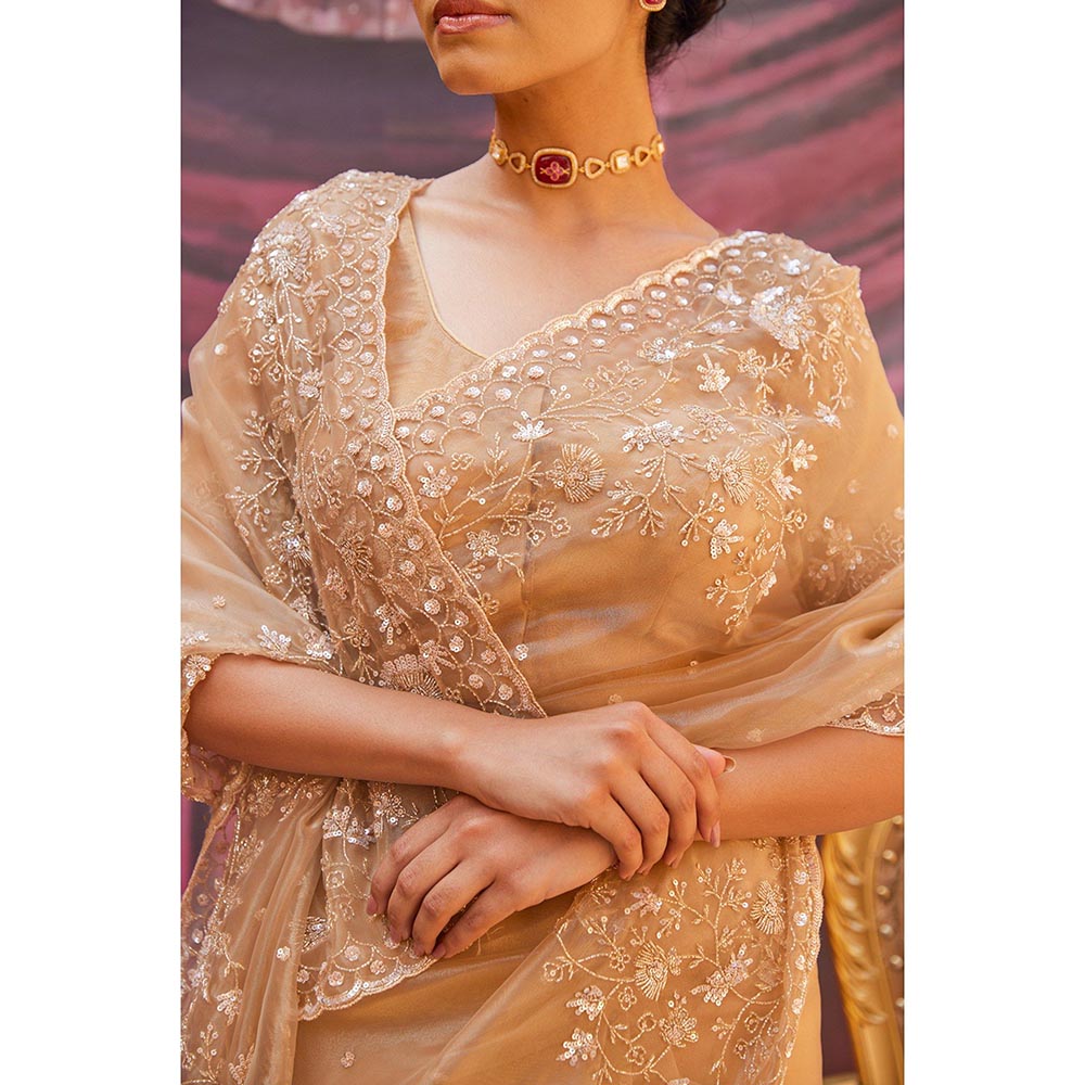 Geroo Luxe Gold Pure Tissue Saree with Unstitched Blouse