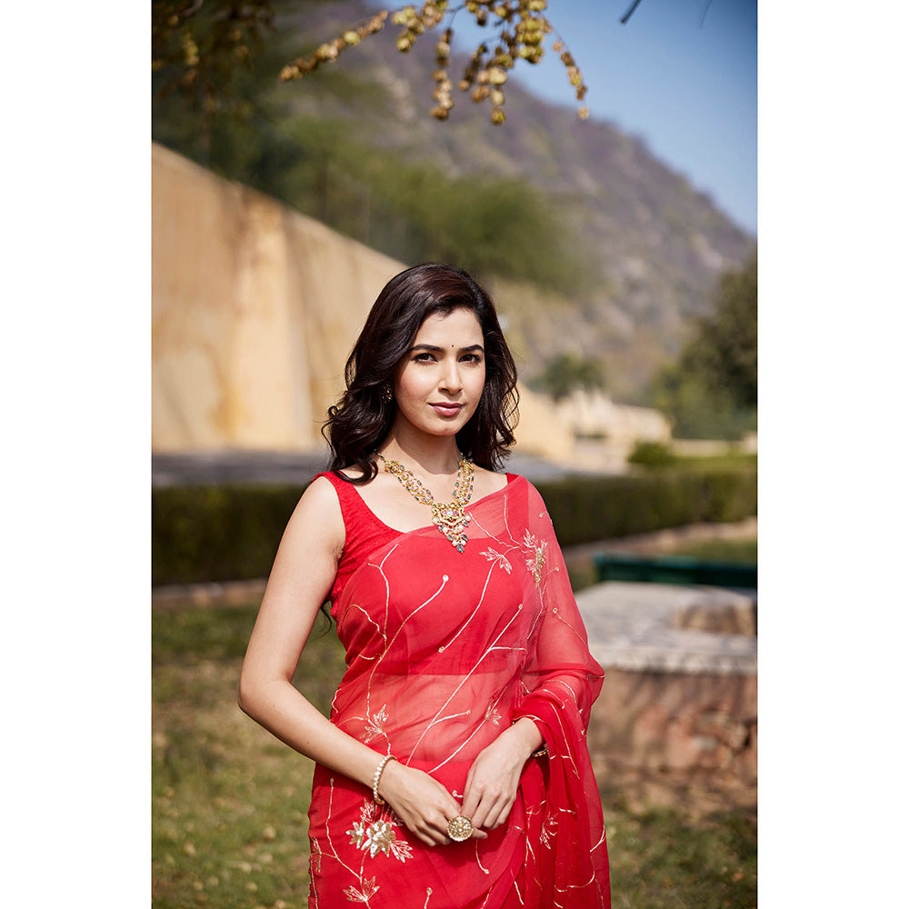 Geroo Jaipur Floral Embroidered Aari Work Pure Chiffon Saree with Unstitched Blouse