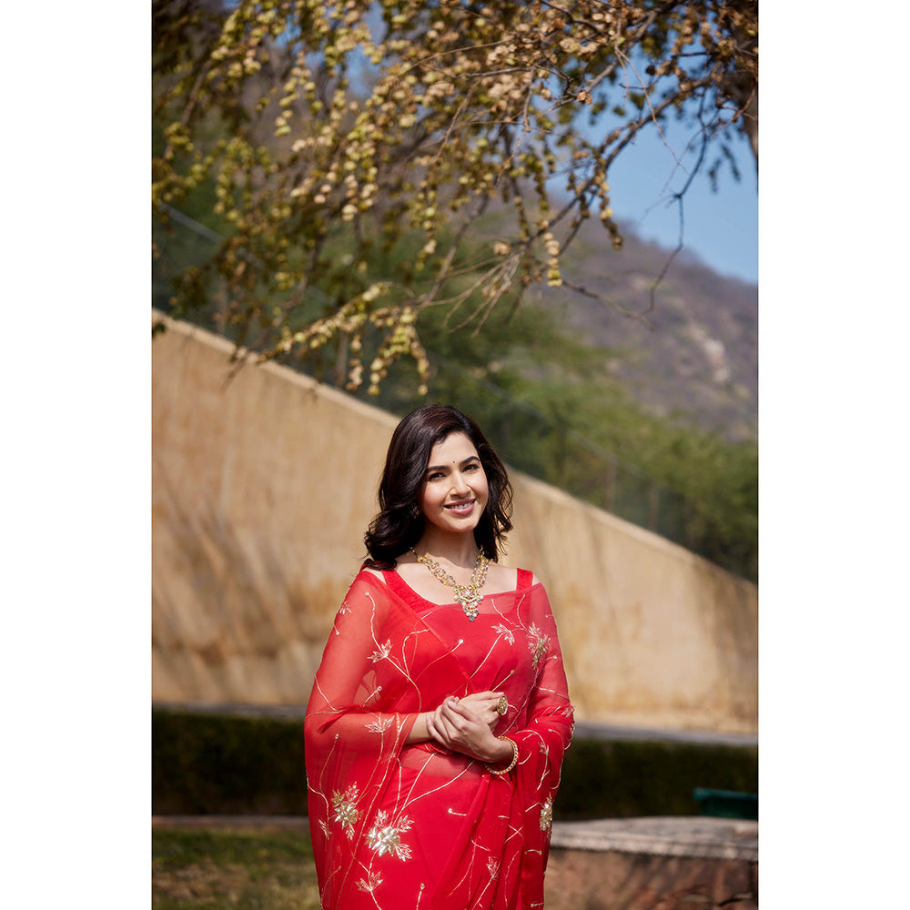 Geroo Jaipur Floral Embroidered Aari Work Pure Chiffon Saree with Unstitched Blouse