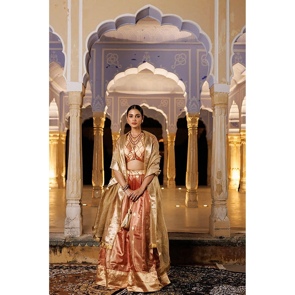 Geroo Jaipur Serene Red Tissue Lehenga