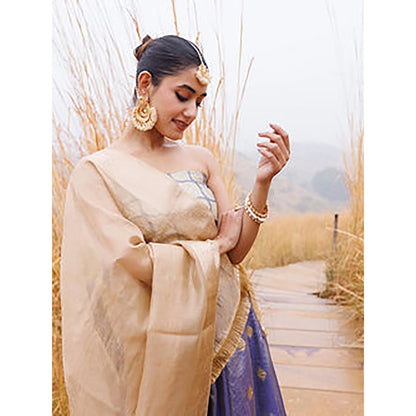 Geroo Jaipur Serene Blue and Beige Tissue Lehenga