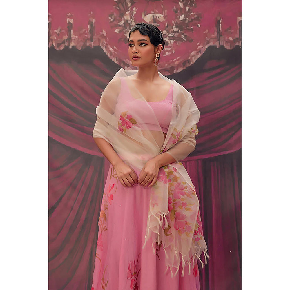 Geroo Jaipur Ethereal Pink Hand-Painted Chiffon Lehenga Set