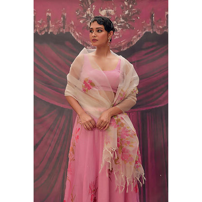 Geroo Jaipur Ethereal Pink Hand-Painted Chiffon Lehenga Set