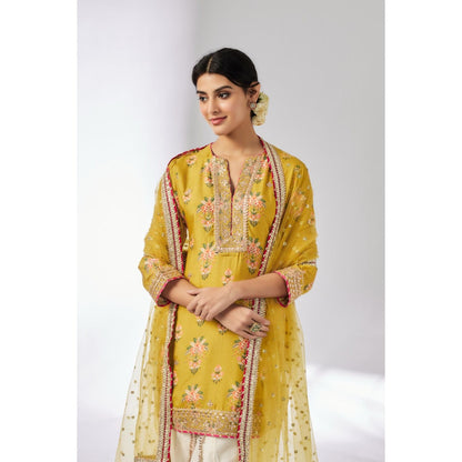 Gopi Vaid Mustard Moulika Dhoti with Kurta and Dupatta (Set of 3)