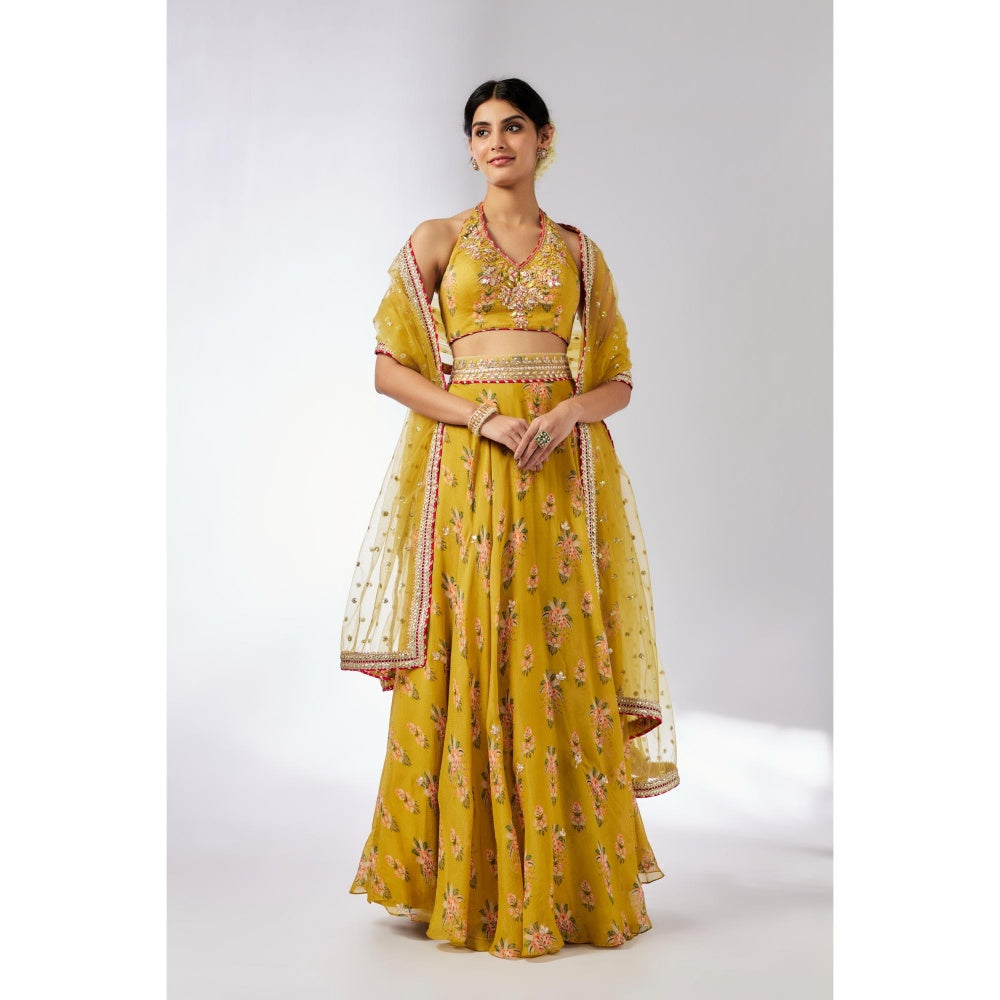 Gopi Vaid Mustard Bhairavi Lehenga with Blouse and Dupatta (Set of 3)