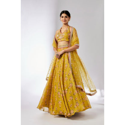 Gopi Vaid Mustard Bhairavi Lehenga with Blouse and Dupatta (Set of 3)