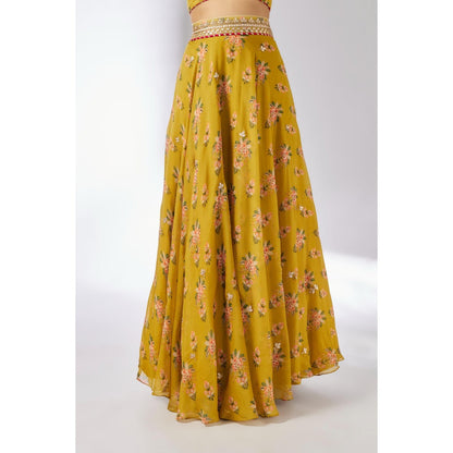 Gopi Vaid Mustard Bhairavi Lehenga with Blouse and Dupatta (Set of 3)