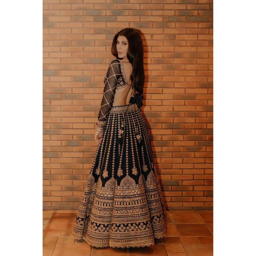 Gopi Vaid Navy Blue Elnaz Lehenga with Blouse (Set of 2)