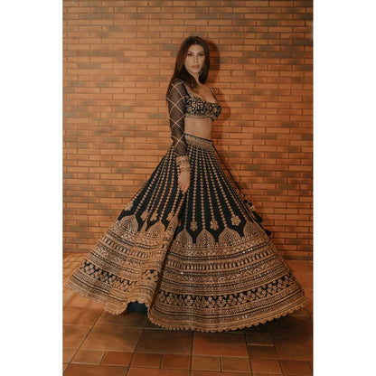 Gopi Vaid Navy Blue Elnaz Lehenga with Blouse (Set of 2)