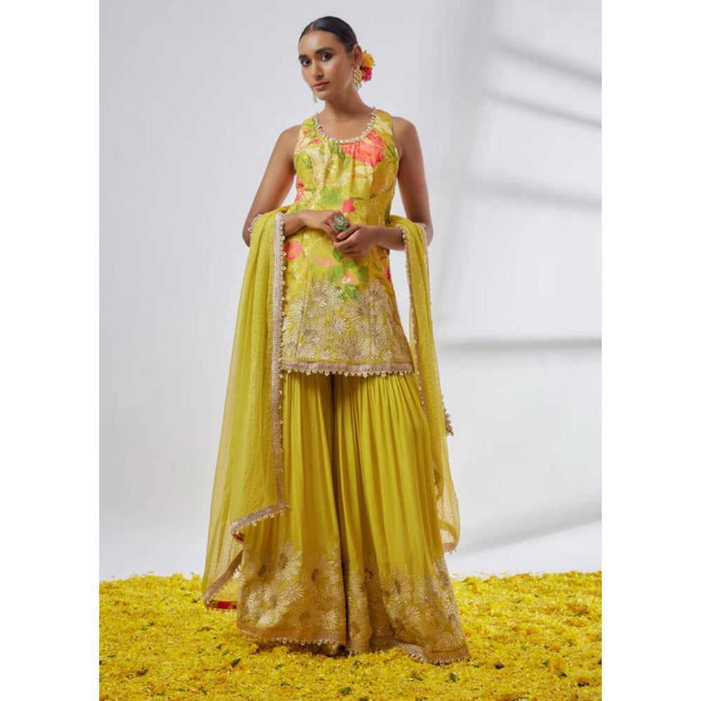 Gopi Vaid Kalki Sleeveless Sharara Set