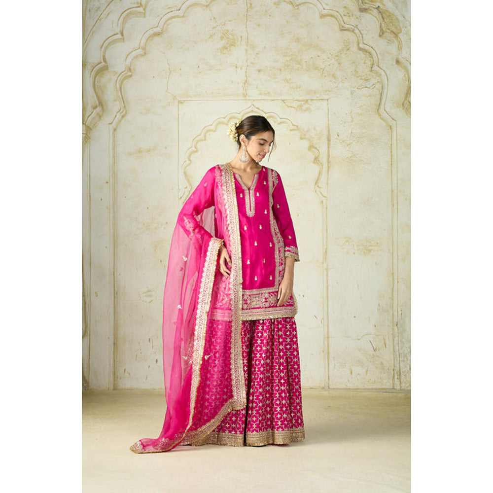 Gopi Vaid Mumtaz Sharara Set