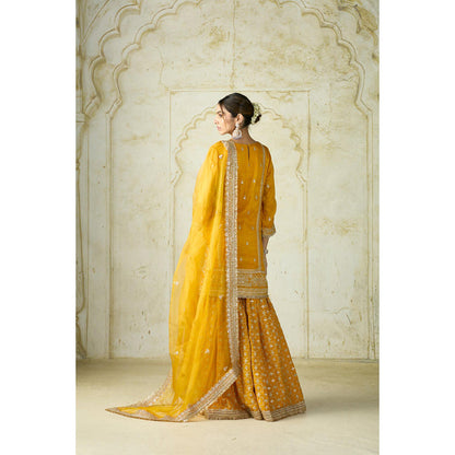 Gopi Vaid Mumtaz Sharara Set