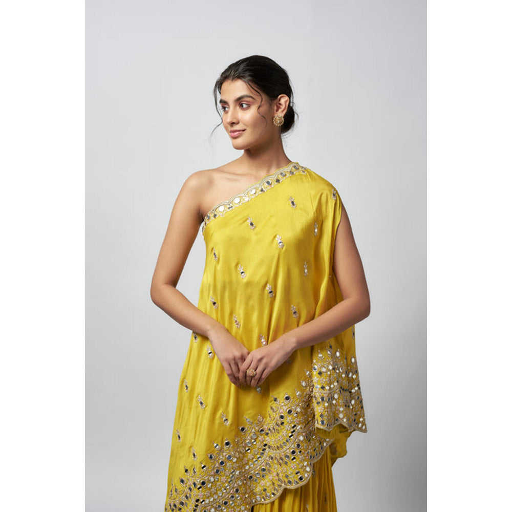 Gopi Vaid Akasa Sharara Set