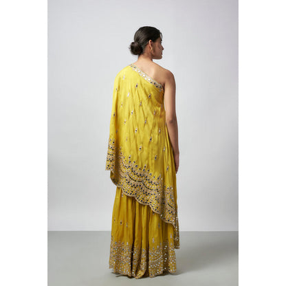 Gopi Vaid Akasa Sharara Set