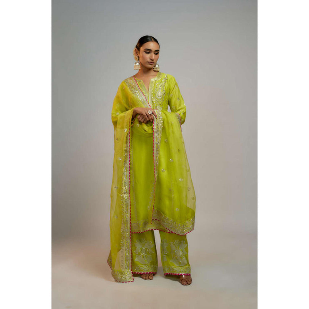 Gopi Vaid Amaya Palazzo set
