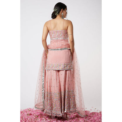 Gopi Vaid Noor Yoke Sharara Set