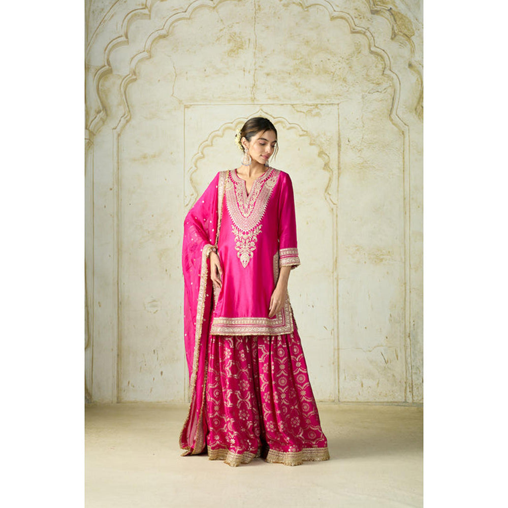 Gopi Vaid Ameena Sharara Set